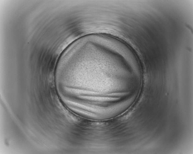 X0000099531521200805301429