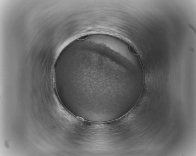 X0000099531522200805301429