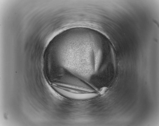 X0000099531523200805301429