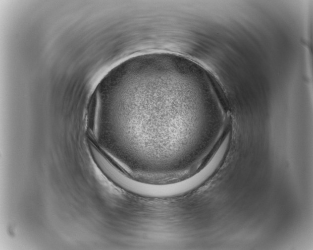 X0000099531524200805301429