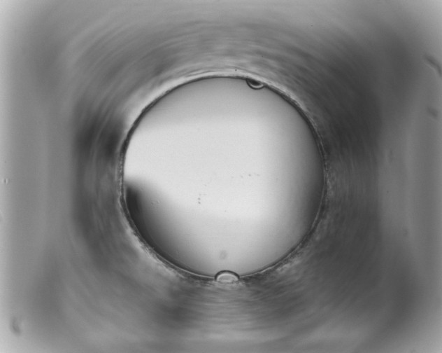 X0000099531526200805301429