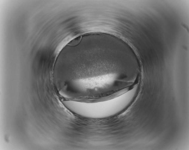 X0000099531529200805301429
