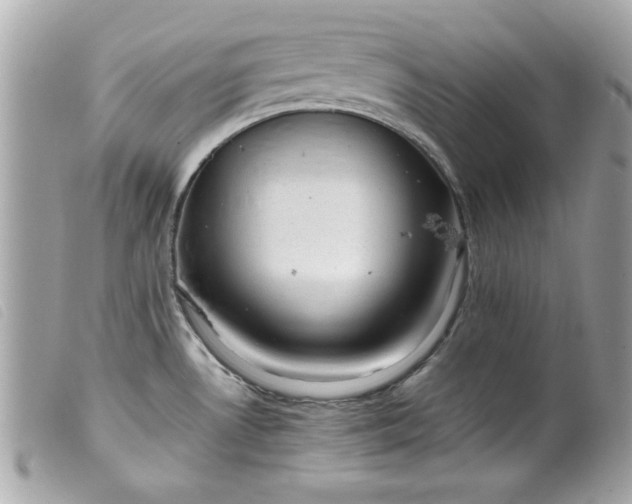 X0000099531530200805301429