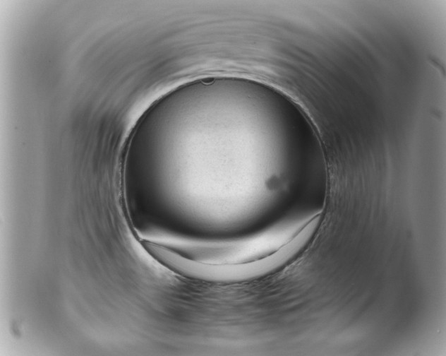 X0000099531531200805301429