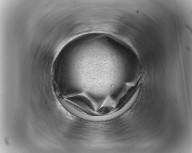 X0000099531532200805301429