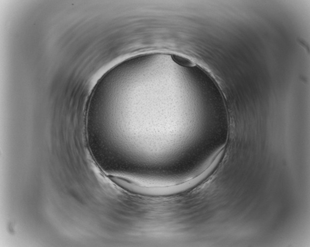 X0000099531534200805301429