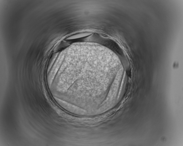 X0000099530001200806061442