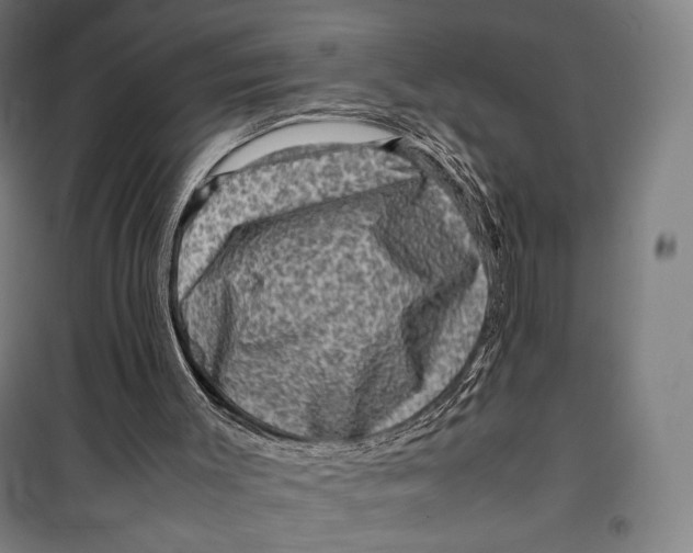 X0000099530003200806061442