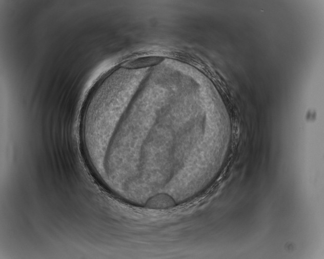 X0000099530006200806061442