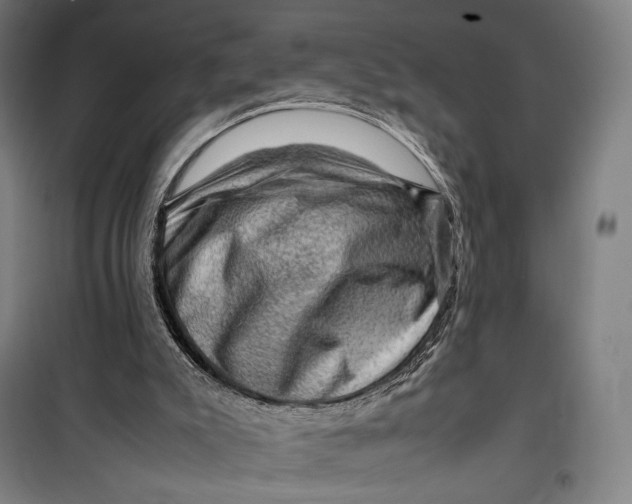 X0000099530007200806061442