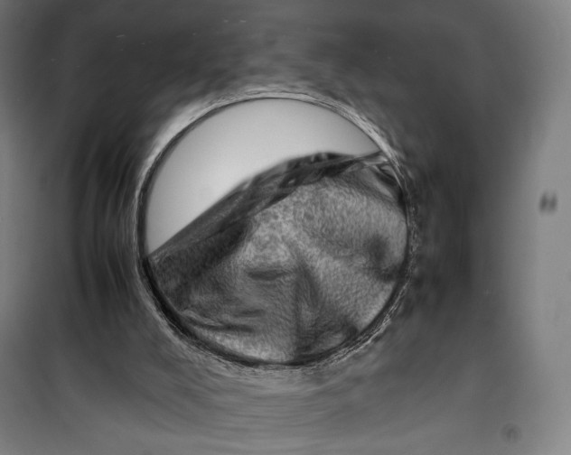 X0000099530008200806061442