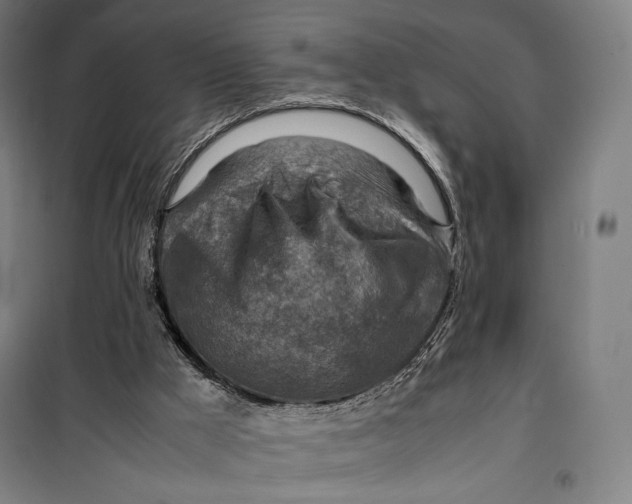 X0000099530009200806061442