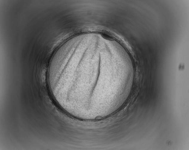 X0000099530010200806061442