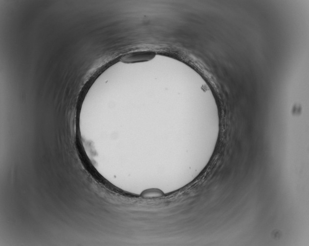 X0000099530011200806061442