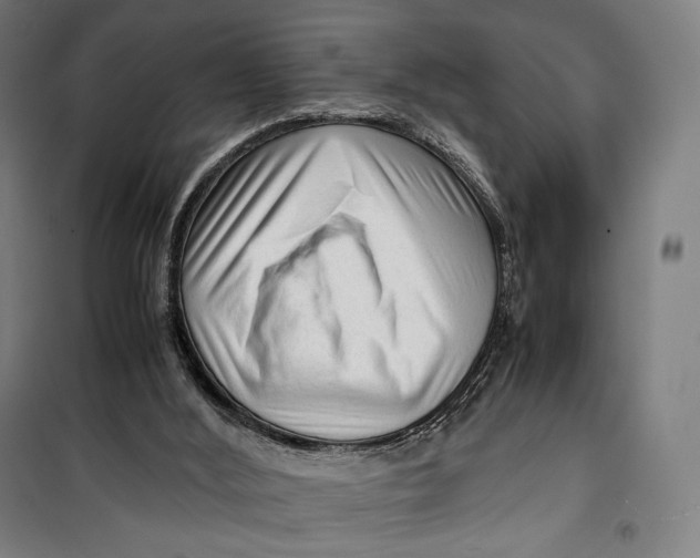 X0000099530012200806061442