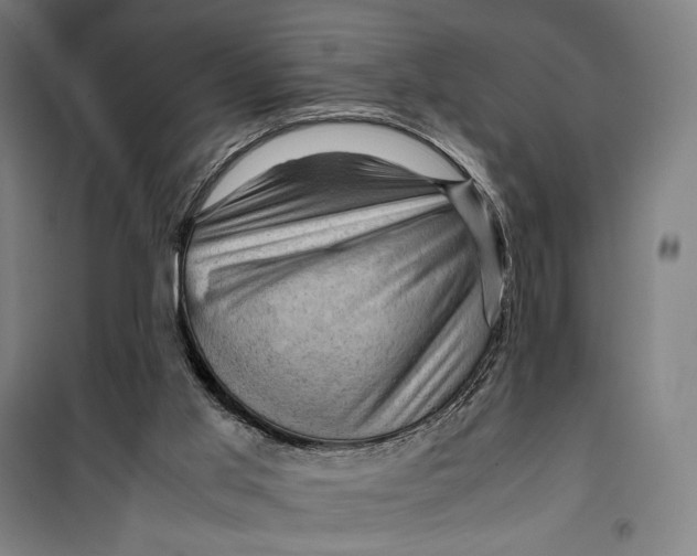 X0000099530013200806061442