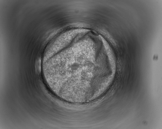 X0000099530014200806061442