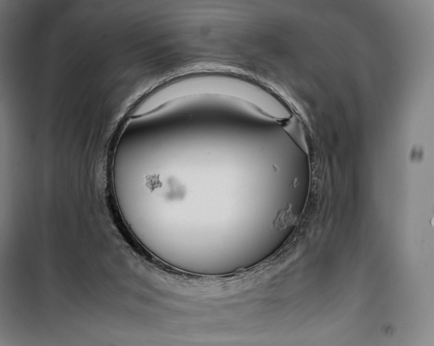 X0000099530015200806061442