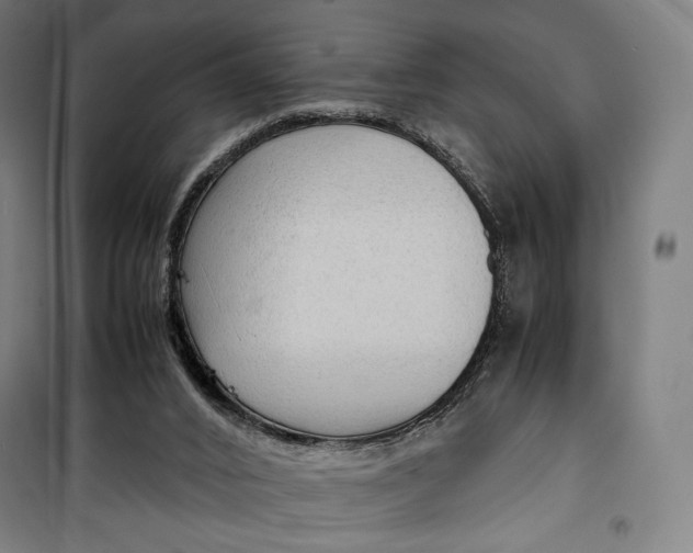 X0000099530016200806061442