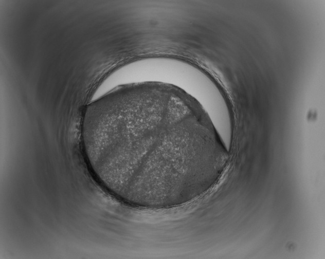 X0000099530017200806061442