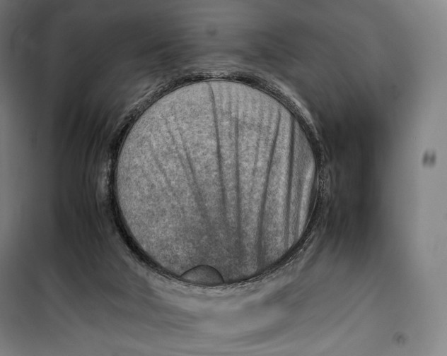 X0000099530018200806061442