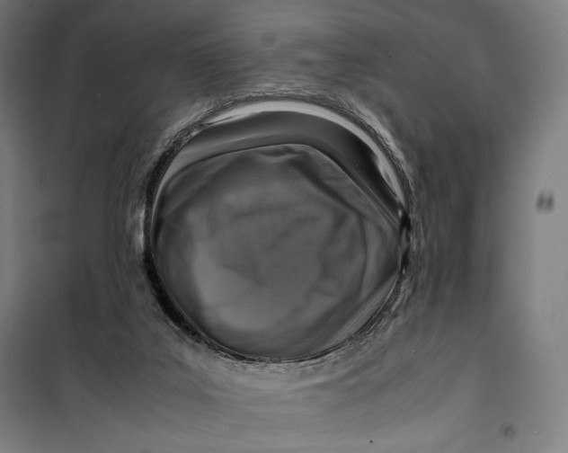 X0000099530019200806061442