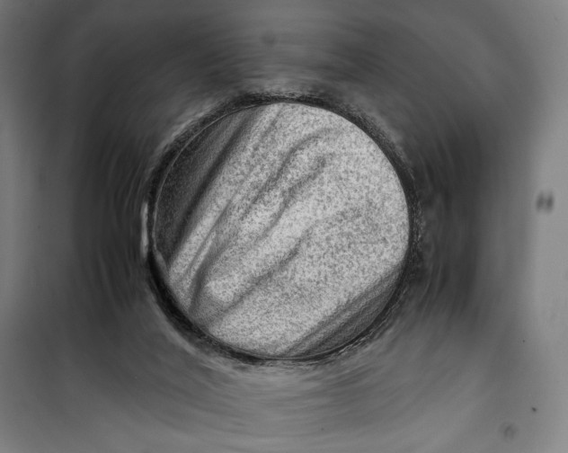 X0000099530020200806061442