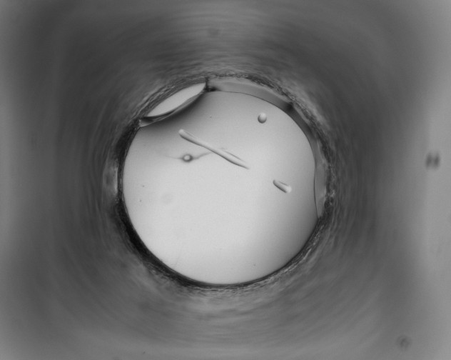 X0000099530021200806061442