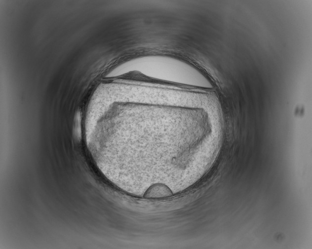 X0000099530022200806061442