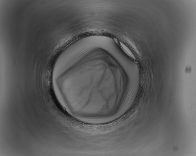 X0000099530023200806061442