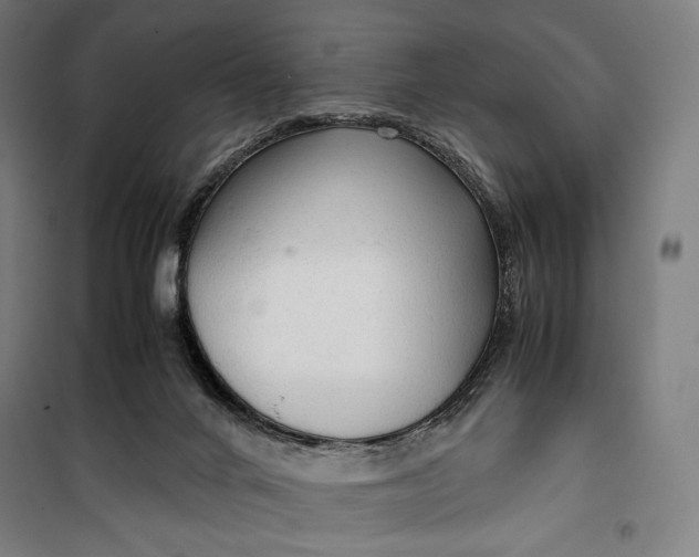 X0000099530024200806061442