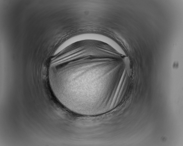 X0000099530025200806061442