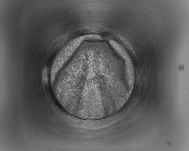 X0000099530026200806061442