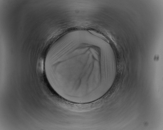 X0000099530027200806061442