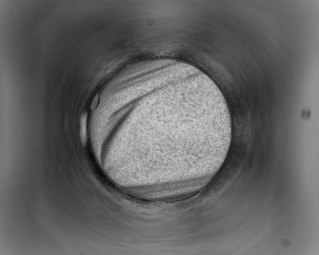 X0000099530028200806061442