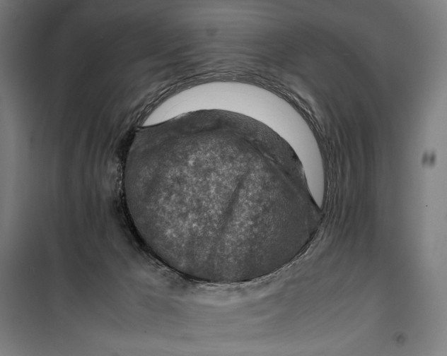 X0000099530029200806061442