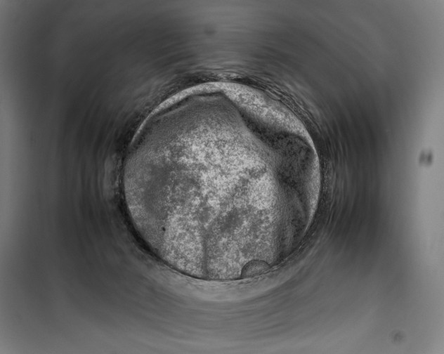 X0000099530030200806061442