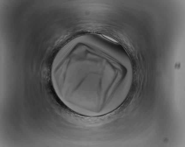 X0000099530031200806061442