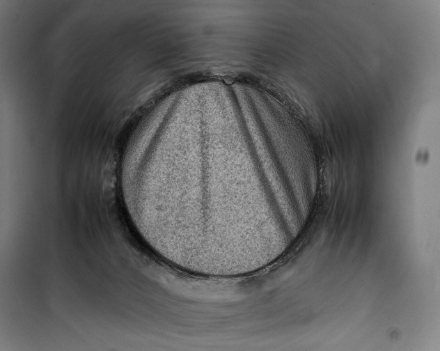 X0000099530032200806061442