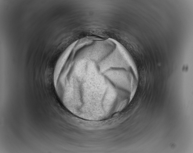 X0000099530034200806061442