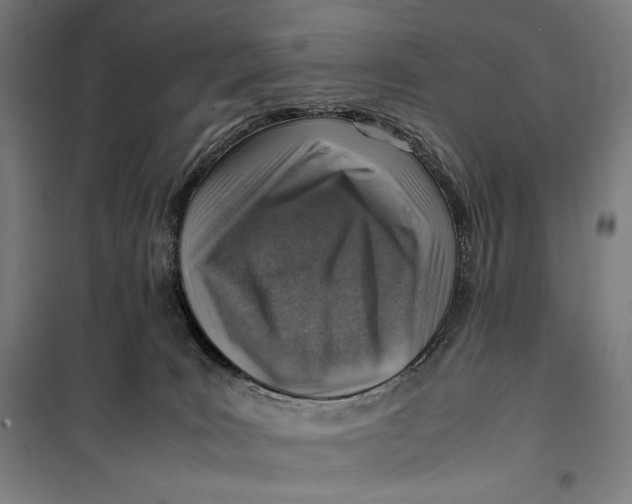 X0000099530035200806061442