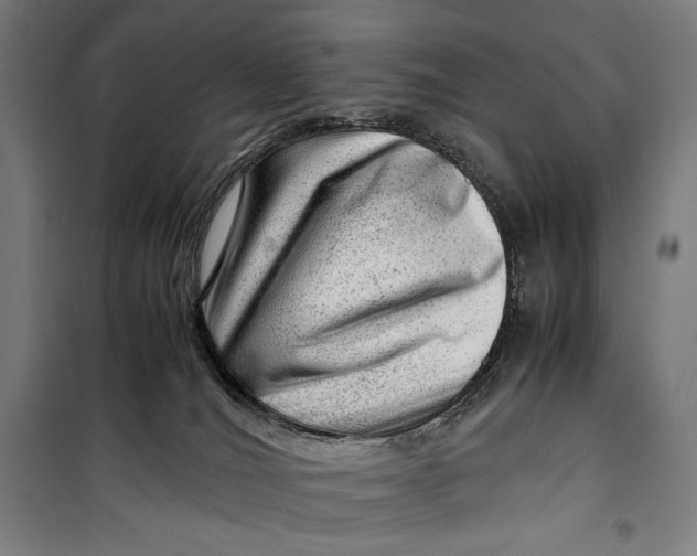 X0000099530036200806061442