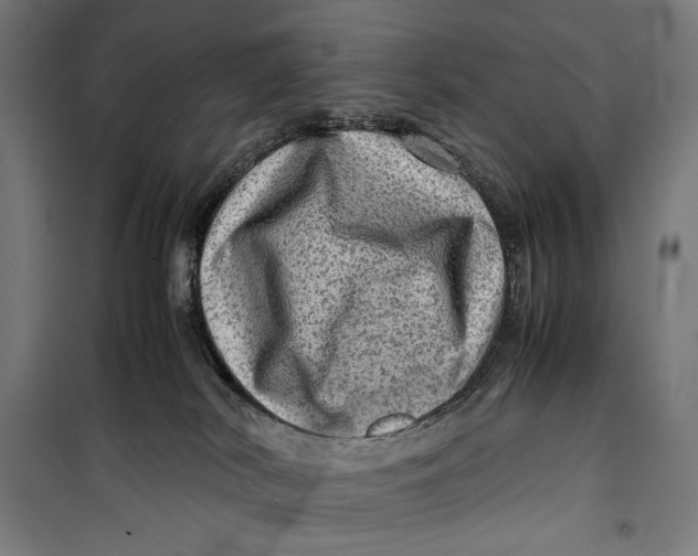 X0000099530038200806061442