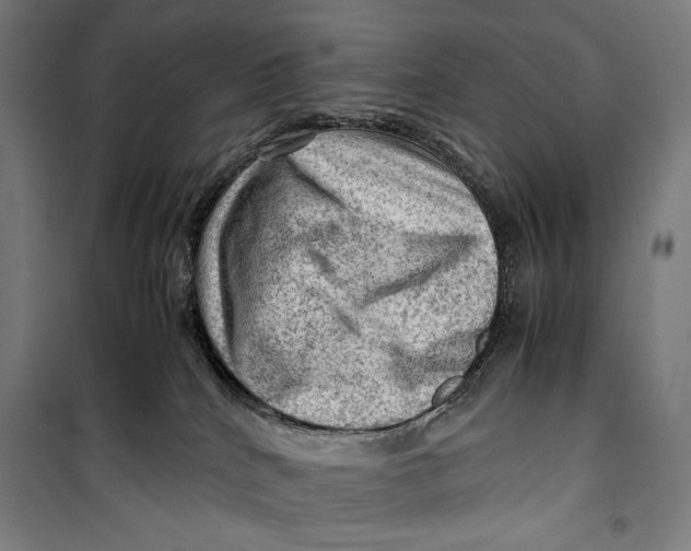 X0000099530040200806061442