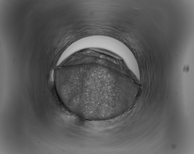 X0000099530041200806061441