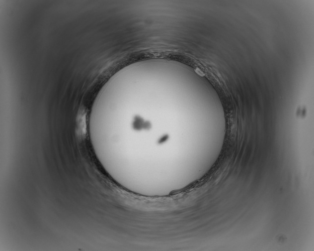 X0000099530042200806061441