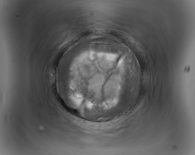 X0000099530043200806061441