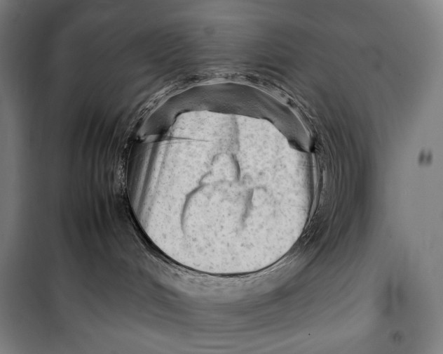 X0000099530048200806061441