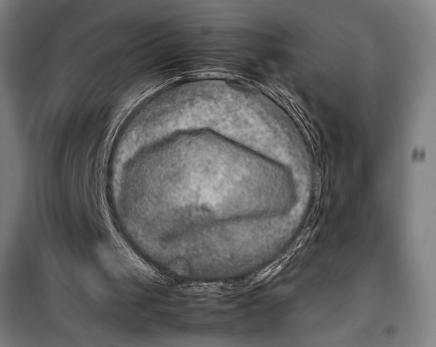 X0000099530049200806061441