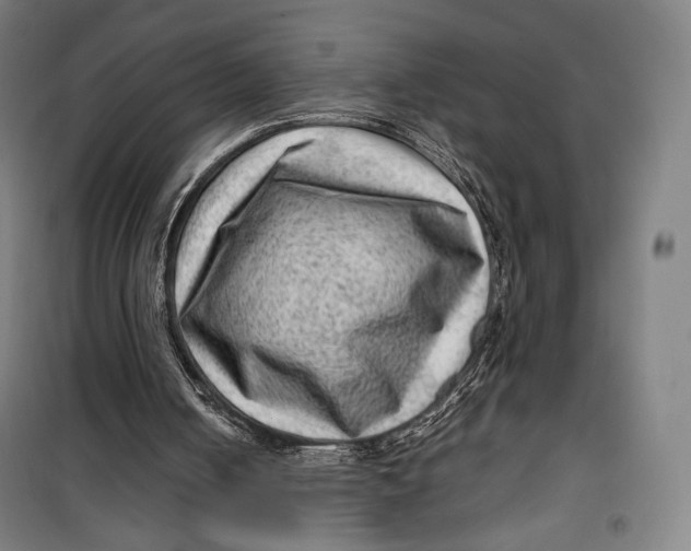 X0000099530050200806061441